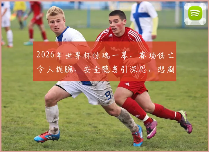 2026年世界杯惊魂一幕，赛场伤亡令人扼腕，安全隐患引深思，悲剧何时休