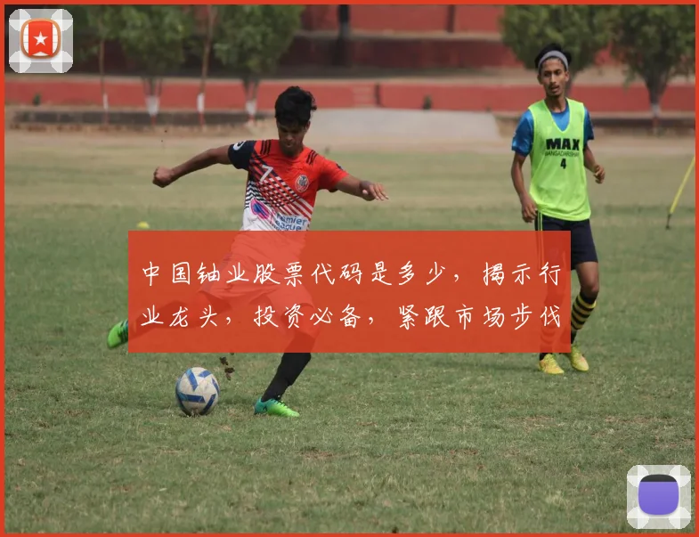 中国铀业股票代码是多少，揭示行业龙头，投资必备，紧跟市场步伐，三大亮点不容错过
