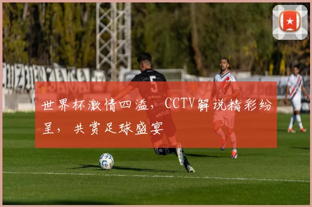 世界杯激情四溢，CCTV解说精彩纷呈，共赏足球盛宴
