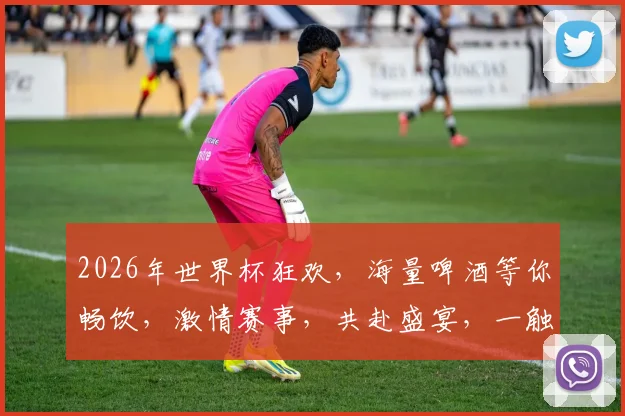 2026年世界杯狂欢，海量啤酒等你畅饮，激情赛事，共赴盛宴，一触即发