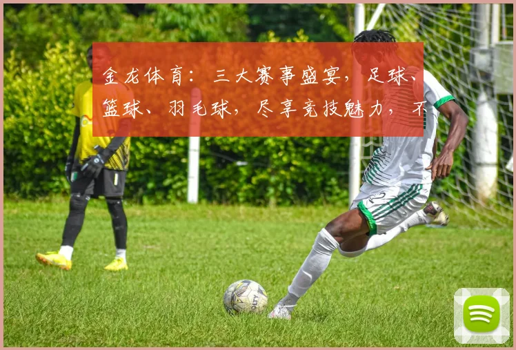 金龙体育：三大赛事盛宴，足球、篮球、羽毛球，尽享竞技魅力，不容错过